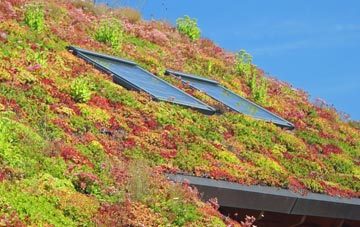 Frankley Hill living roof systems